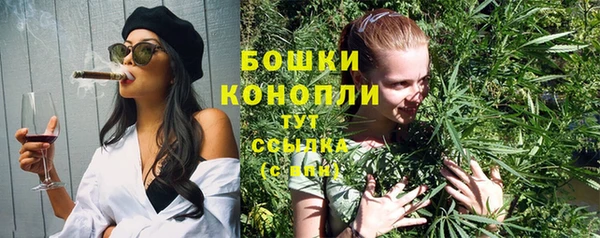 кристаллы Гусь-Хрустальный
