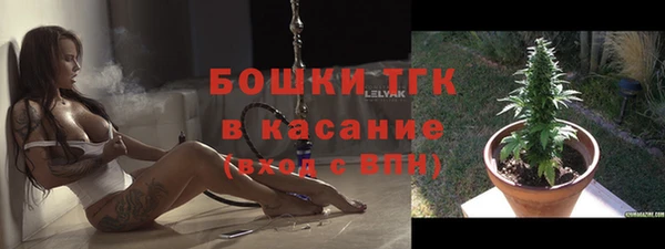 кристаллы Гусь-Хрустальный