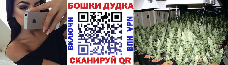 кракен ТОР  Лабинск  Бошки Шишки OG Kush 